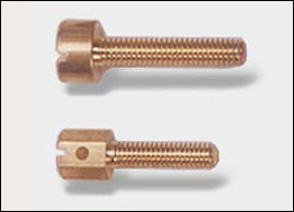 Brass Screws